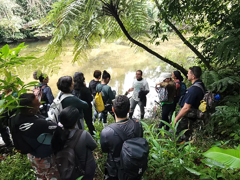 Ecoturismo em Bertioga é fortalecido com abertura de nova trilha à margem do Rio Jaguareguava