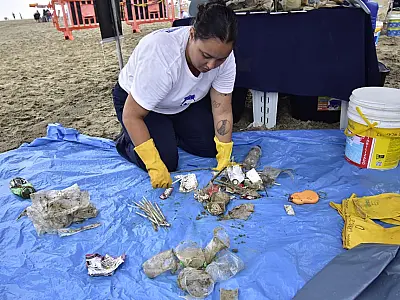Mutirão de limpeza da praia em PG: mais de 60 quilos de lixo recolhido em apenas 40 minutos