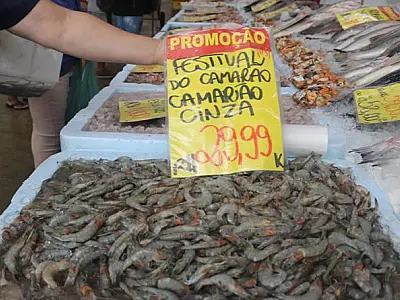 Mercado de Peixes de Santos promove Festival do Camarão até domingo