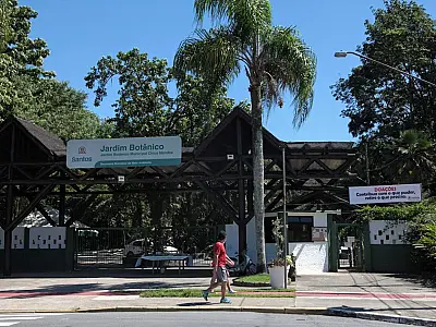 Jardim Botânico de Santos tem mostra de carros antigos e artesanato neste fim de semana