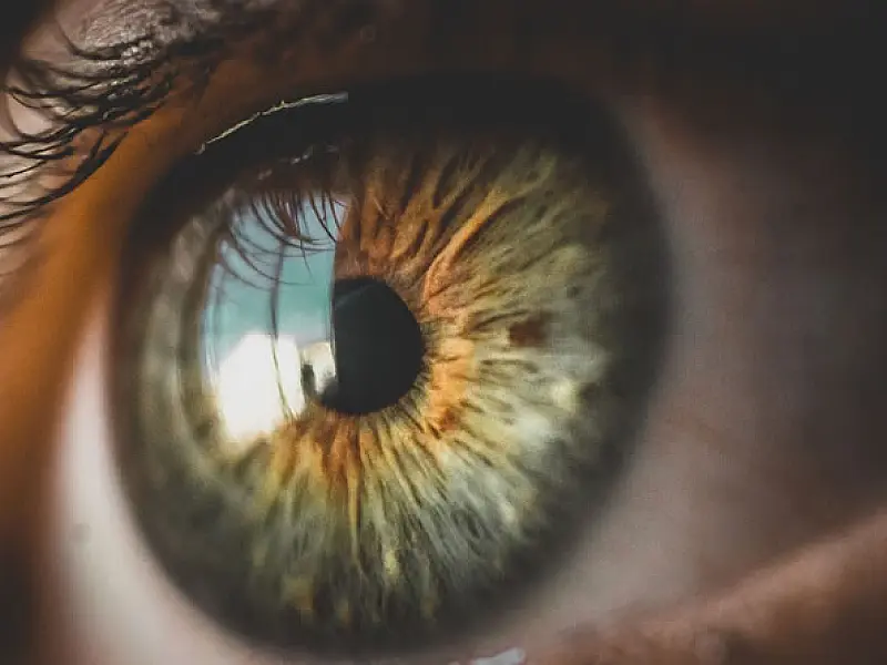 Glaucoma: a doença silenciosa que pode levar à cegueira