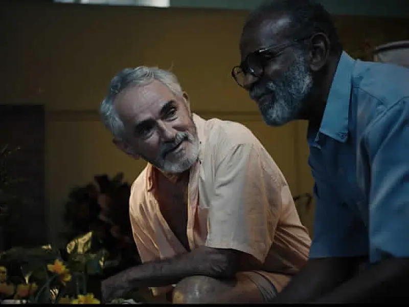 Curta Santos  Festival de Cinema de Santos (SP) chega à 22ª edição em 2024
