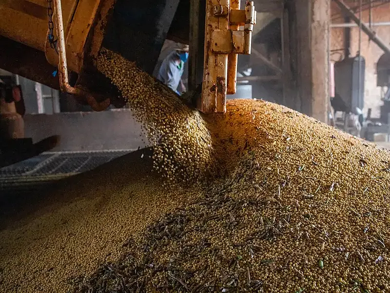 Após seis anos em alta, valor da produção agrícola cai 2,3% em 2023