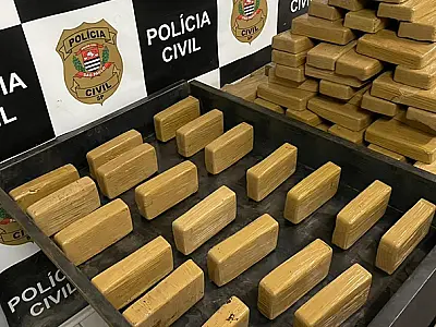 Polícia descobre esquema de transporte de drogas até o Porto de Santos usando a malha ferroviária