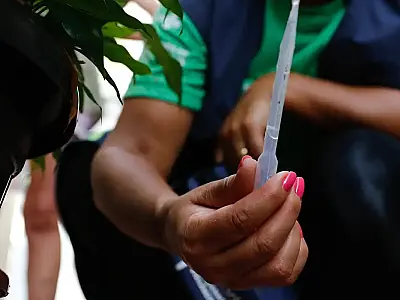 Distribuição da vacina contra a dengue começa na próxima semana
