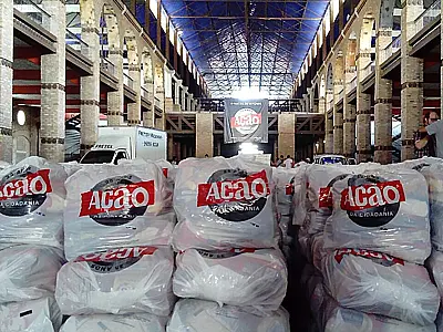 Ação da Cidadania lança campanha Brasil sem Fome