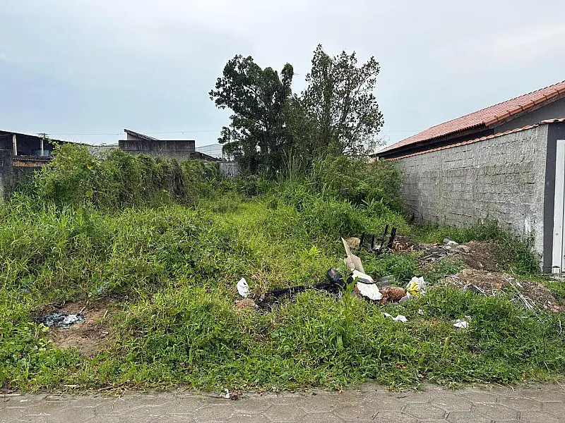 Prefeitura regulamenta regras para limpeza de terrenos e combate a focos de doenças em Mongaguá