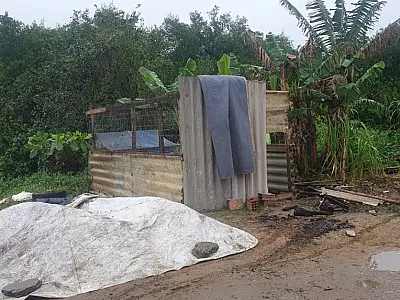 Construções irregulares em área de manguezal são demolidas por agentes ambientais