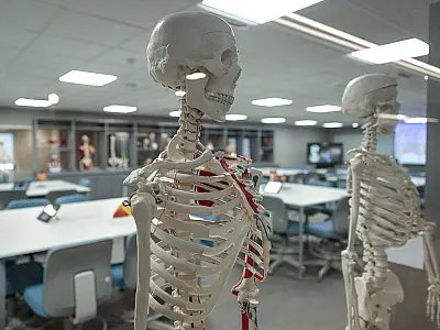 Sírio-Libanês inaugura faculdade de ciências da saúde