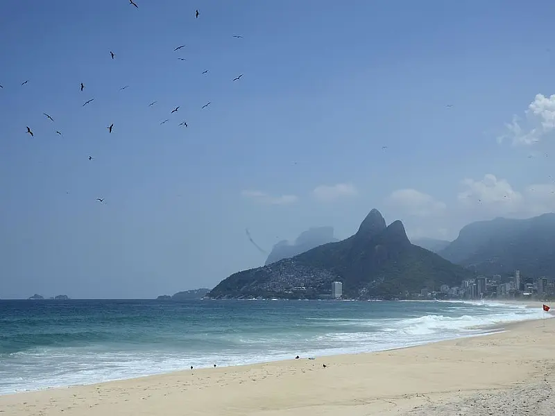 Banco de amostras de albatrozes e petréis tem expansão de 57,5%