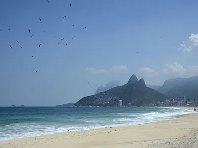 Banco de amostras de albatrozes e petréis tem expansão de 57,5%