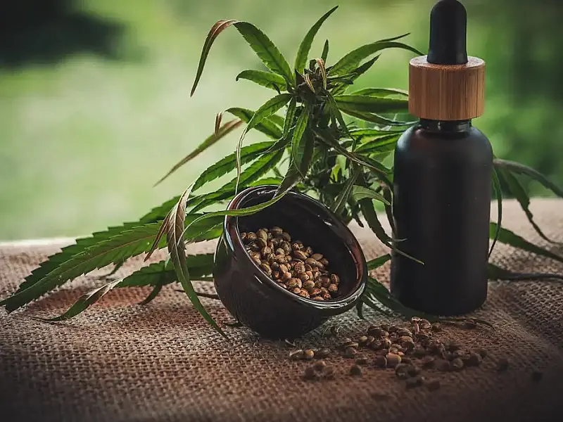 Projeto apoia mães e crianças atípicas tratadas à base de cannabis