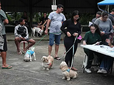 Santos imuniza 200 cães com vacina V10 gratuita em campanha da Codevida