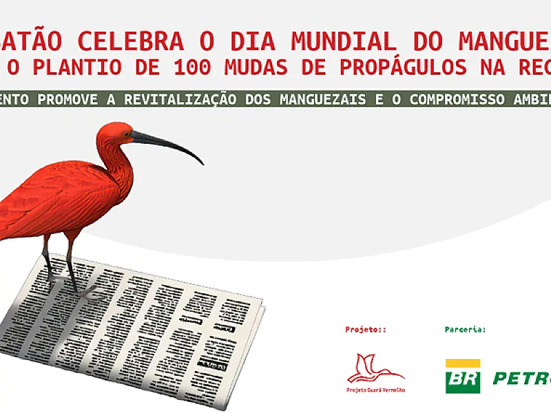 Cubatão celebra o Dia Mundial do Manguezal com o plantio de 100 mudas de propágulos na região