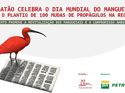 Cubatão celebra o Dia Mundial do Manguezal com o plantio de 100 mudas de propágulos na região