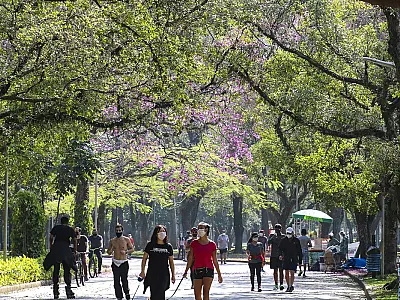 Turismo em São Paulo retoma patamar pré-pandemia