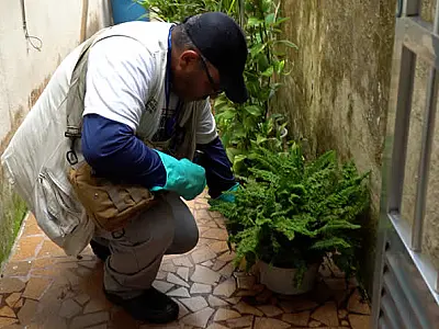 Guarujá realiza mutirão e nebulização contra a dengue em 5.453 imóveis a partir de segunda (17)