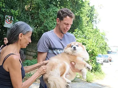 Santos inicia campanha de vacinação para cães