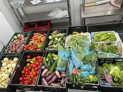 Feira da Cidadania amplia atendimento em quase 400% no segundo semestre de 2025