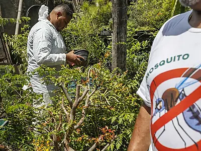 Brasil concentra quase 70% dos casos de dengue da AL e Caribe