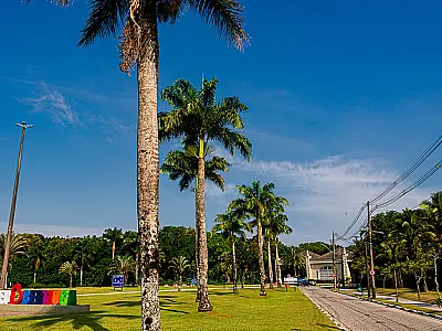Inventário arbóreo da Riviera de São Lourenço já tem catalogado mais de 7.600 árvores