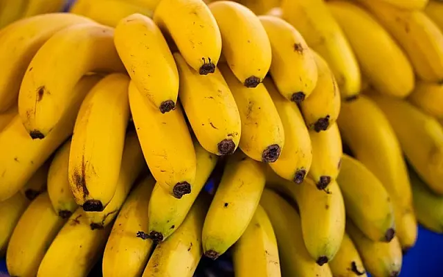 Baixada Santista também é agro: região produz R$ 141,68 milhões por ano fora da orla