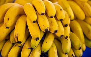 Baixada Santista também é agro: região produz R$ 141,68 milhões por ano fora da orla