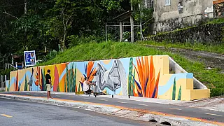 Grafiteiro vicentino colore ruas e leva arte à rotina dos munícipes
