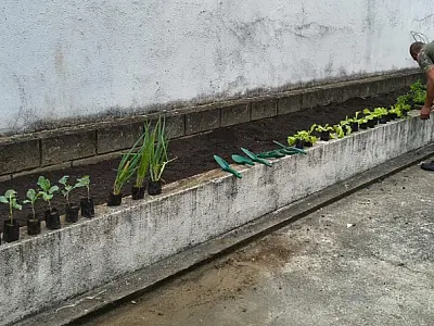 CAPS de Mongaguá ganha horta terapêutica cultivada pelos próprios usuários