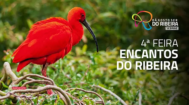 4ª edição da Feira Encantos do Ribeira reúne gastronomia, turismo e cultura regional