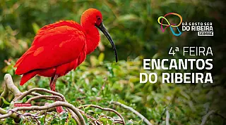 4ª edição da Feira Encantos do Ribeira reúne gastronomia, turismo e cultura regional
