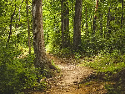 Governo de SP lança Rede Estadual de Trilhas para integrar turismo sustentável e conservação ambiental