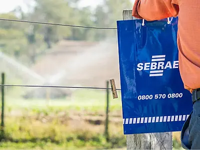 Produtores rurais do Vale do Ribeira podem se inscrever em programa de inovação do Sebrae-SP