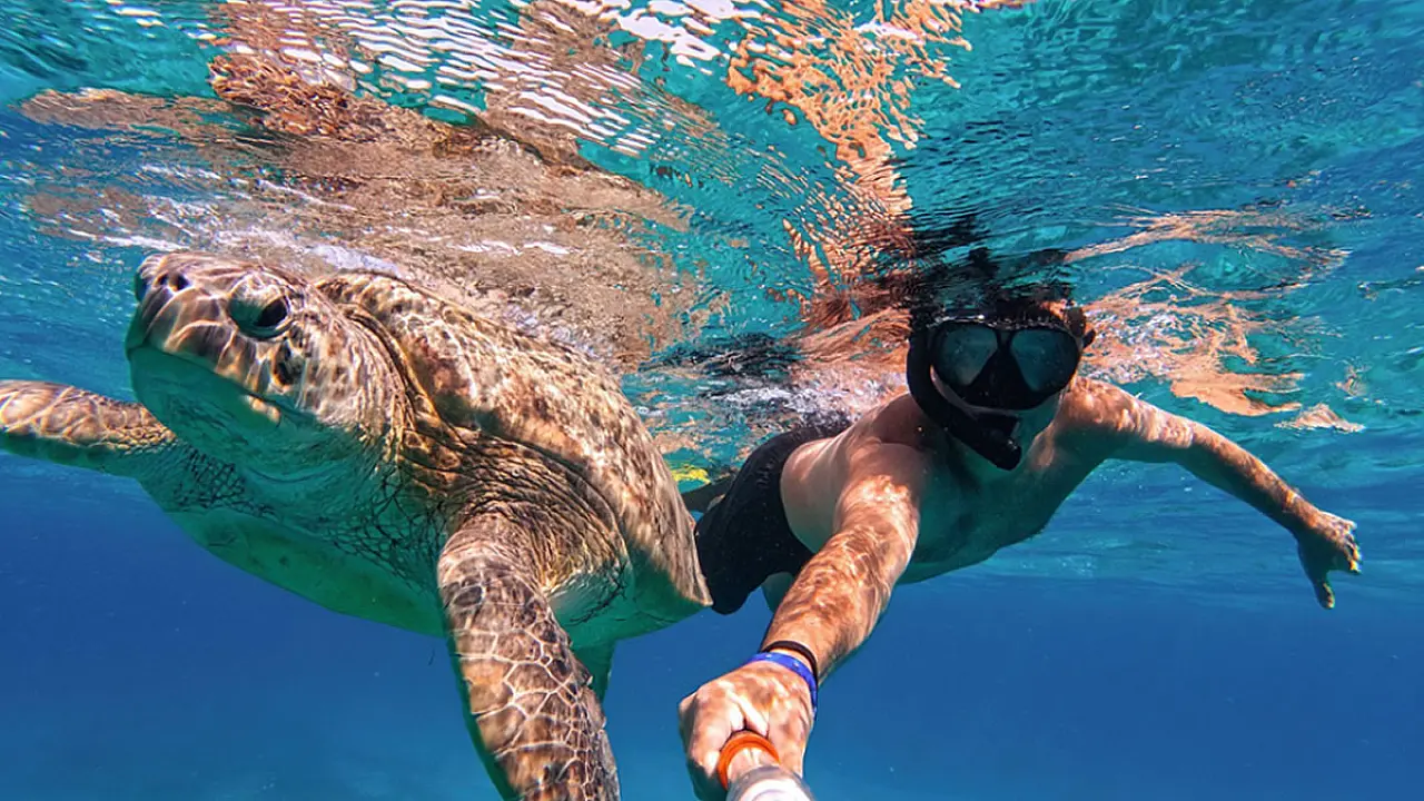 O que fazer no Egito: do topo das pirâmides ao fundo do Mar Vermelho