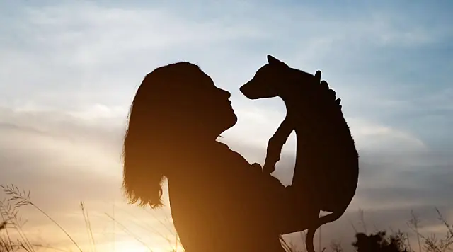 Prefeitura de Mongaguá regulamenta a instalação de crematórios para animais de estimação