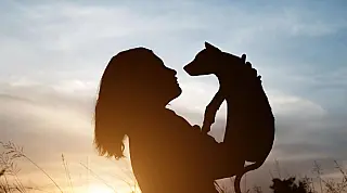 Prefeitura de Mongaguá regulamenta a instalação de crematórios para animais de estimação