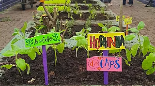 Complexo de Saúde Mental ganha horta comunitária voltada aos munícipes atendidos pelo Serviço