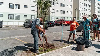 Prefeitura de Bertioga promove plantio de 200 mudas nativas da Mata Atlântica em ação de arborização urbana
