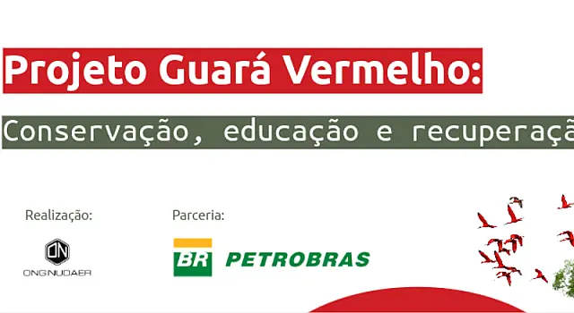 Projeto Guará Vermelho promove mutirão de limpeza em Cubatão em comemoração ao Cleanup Day 2026