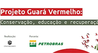 Projeto Guará Vermelho promove mutirão de limpeza em Cubatão em comemoração ao Cleanup Day 2026