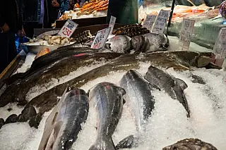 Abrasel orienta bares e restaurantes a comprar pescado corretamente e evitar golpes