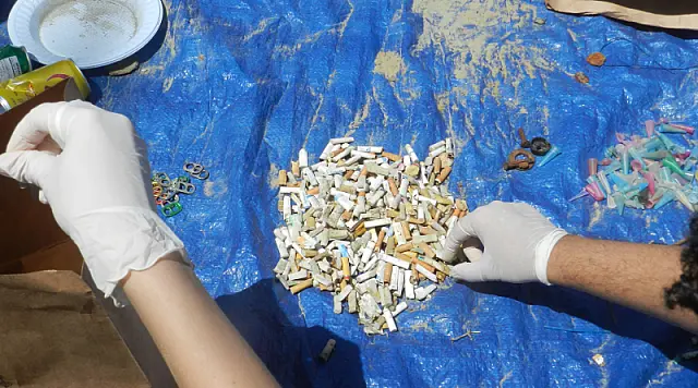 Projeto Mantas do Brasil  participa do Clean Up Day, ação mundial de limpeza de rios e praias neste sábado (19)