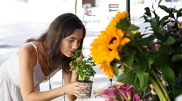 Shopping Pátio Aviação  recebe o 1º Festival das Flores