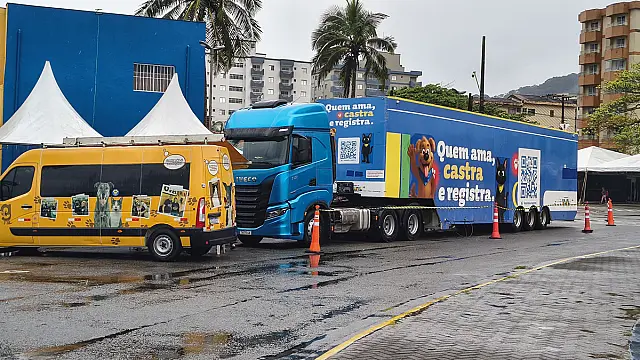 Mongaguá realiza mutirão de castração para 300 cães e gatos