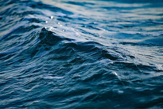 Litoral Norte ganha 31 ações para proteção do oceano, pesca, biodiversidade e qualidade das águas