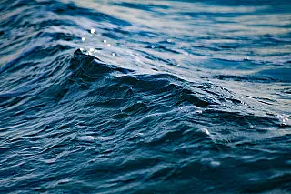 Litoral Norte ganha 31 ações para proteção do oceano, pesca, biodiversidade e qualidade das águas