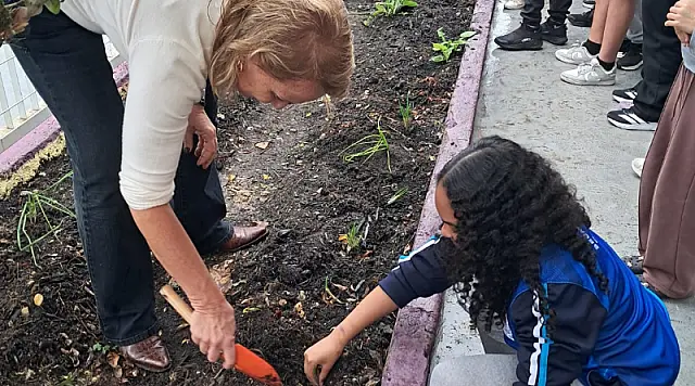 Guarujá celebra o Dia da Árvore com plantio em unidades de ensino