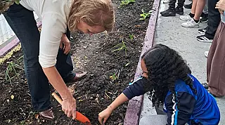 Guarujá celebra o Dia da Árvore com plantio em unidades de ensino