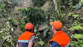 Prefeitura de São Vicente amplia ações de zeladoria e prevenção em áreas afetadas pelas chuvas