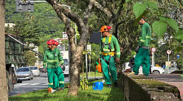 GuaruJá Limpeza chega ao Morrinhos com força-tarefa integrada de zeladoria